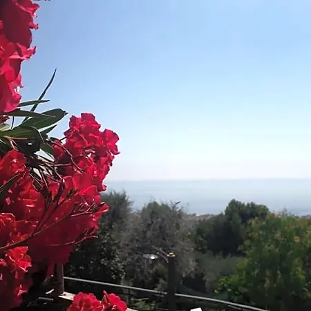 Il Porto Di Benny 3*